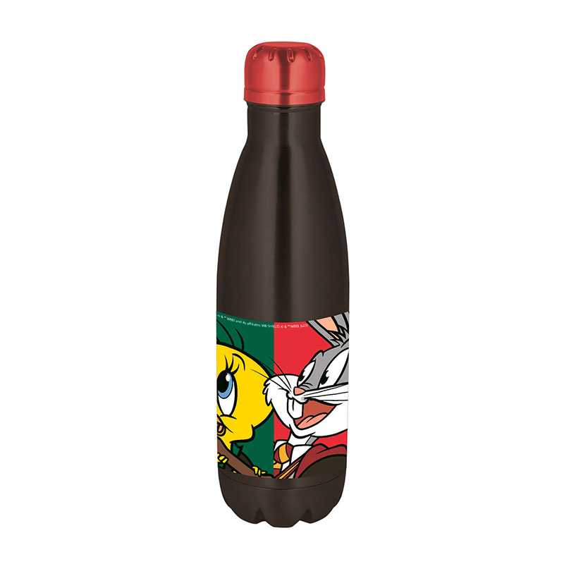 Botella Termo Doble Pared Warner 500 ml